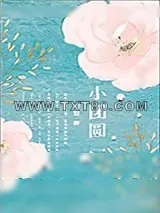 《小团圆》小说封面