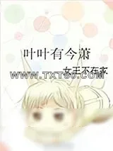 《叶叶有今萧》小说封面