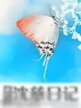《重生之沈慈日记》小说封面