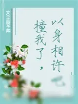 《撞我了，以身相许吧》小说封面