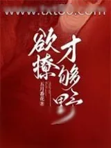《欲撩，才够野》小说封面