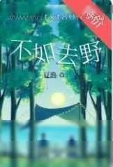《不如去野》小说封面