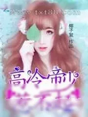 《高冷帝少,惹不起》小说封面