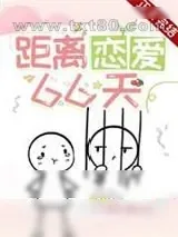 《距离恋爱66天》小说封面