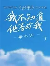 《后来,我不知道他喜欢我那么久》小说封面