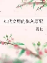 《锦绣人生》小说封面