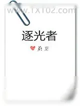 《逐光者》小说封面