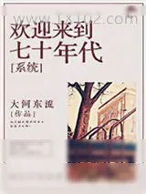 《欢迎来到七十年代[系统]》小说封面