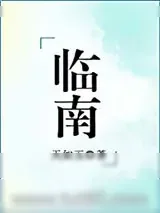 《临南（不可能喜欢你）》小说封面