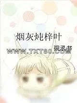 《烟灰炖梓叶》小说封面