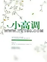 《小高调[娱乐圈]》小说封面
