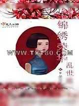 《锦绣荣华乱世歌》小说封面
