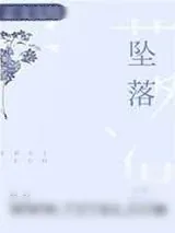 《坠落》小说封面