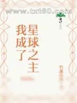 《我成了星球之主》小说封面