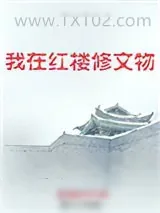 《我在红楼修文物》小说封面
