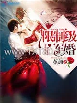 《限制级军婚》小说封面