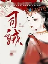 《司绒》小说封面
