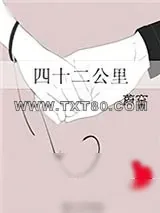 《四十二公里》小说封面