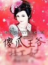 《傻瓜王爷特工妃》小说封面