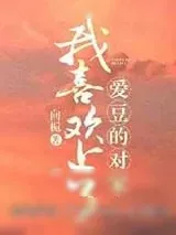 《我喜欢上了爱豆的对家》小说封面