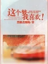 《这个梦我喜欢！》小说封面