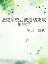 《上交系统后被迫结束咸鱼生活》小说封面