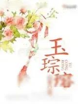 《玉琮瑢》小说封面