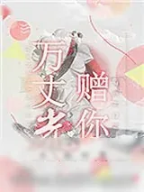 《万丈光赠你》小说封面