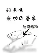 《你知道的太多了》小说封面