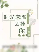 《时光未曾丢掉你》小说封面