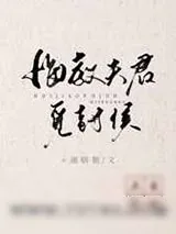 《悔教夫君觅封侯》小说封面