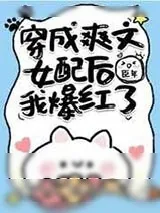 《穿成爽文女配后我爆红了》小说封面