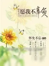 《重生之愿我不辜负》小说封面