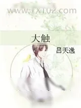《大触》小说封面