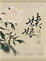 《姨娘这职业》小说封面