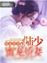 《婚途漫漫：陆少蜜宠娇妻》小说封面