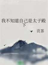 《我不知道自己是太子殿下》小说封面