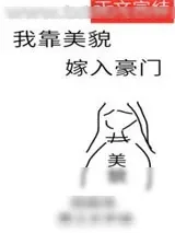 《我靠美貌嫁入豪门》小说封面