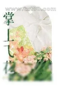 《掌上飞花》小说封面