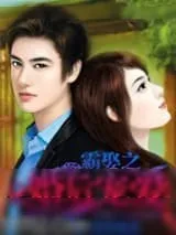 《霸娶之婚后宠爱》小说封面