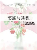 《憨熊与狐狸》小说封面