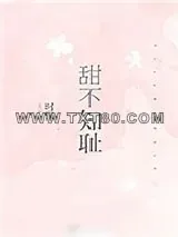 《甜不知耻》小说封面
