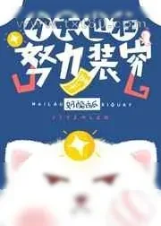 《今天也在努力装穷》小说封面