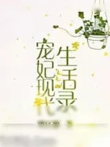 《宠妃现代生活录》小说封面