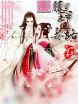 《娇妃难猜：腹黑王爷追妻路》小说封面