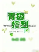《青梅嫁到》小说封面