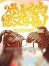 《恭喜娘娘，您又有喜了》小说封面