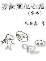 《男配黑化之后（穿书）》小说封面