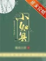 《小知县》小说封面