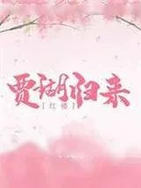《[红楼]贾瑚归来》小说封面